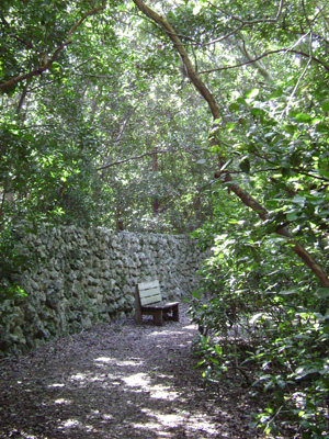 Dagny Johnson Key Largo Hammock Botanical State Park features one of the largest tracts of West Indian tropical hardwood hammocks in the United States.